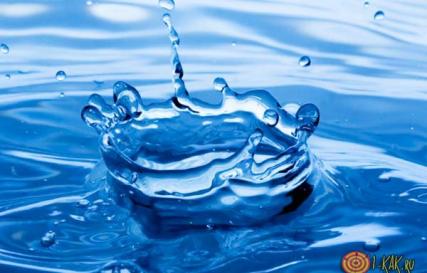 Сколько гипотез появления воды на Земле существует?