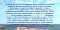 Презентация на тему путешествие по австралии Презентация на тему австралия