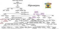 Stema familiei Naryshkin.  Istoria familiei Naryshkin.  Extras care îi caracterizează pe Naryshkins