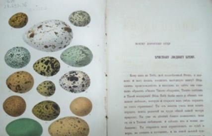 Alfred Bram - Vie animale, Volume I, Mammifères Encyclopédie de la vie animale de Brem lire en ligne