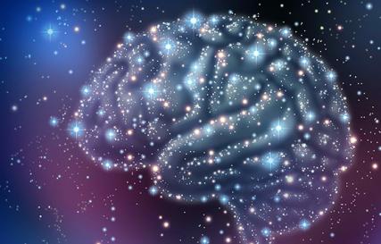 Hjärna – Man – Universum Hjärna och Universum